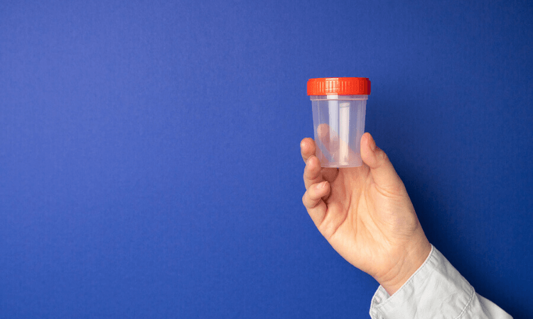 What Is Suboxone Half-Life? What Is Suboxone Half-Life?