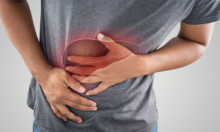 Alcohol Effects on the Liver Alcohol Effects on the Liver