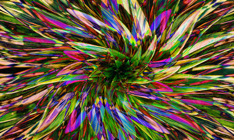 Long-Term Effects of LSD Long-Term Effects of LSD
