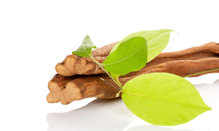 What is Ayahuasca? What is Ayahuasca?